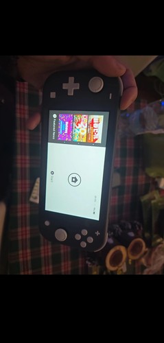 Nintendo switch lite - switch,